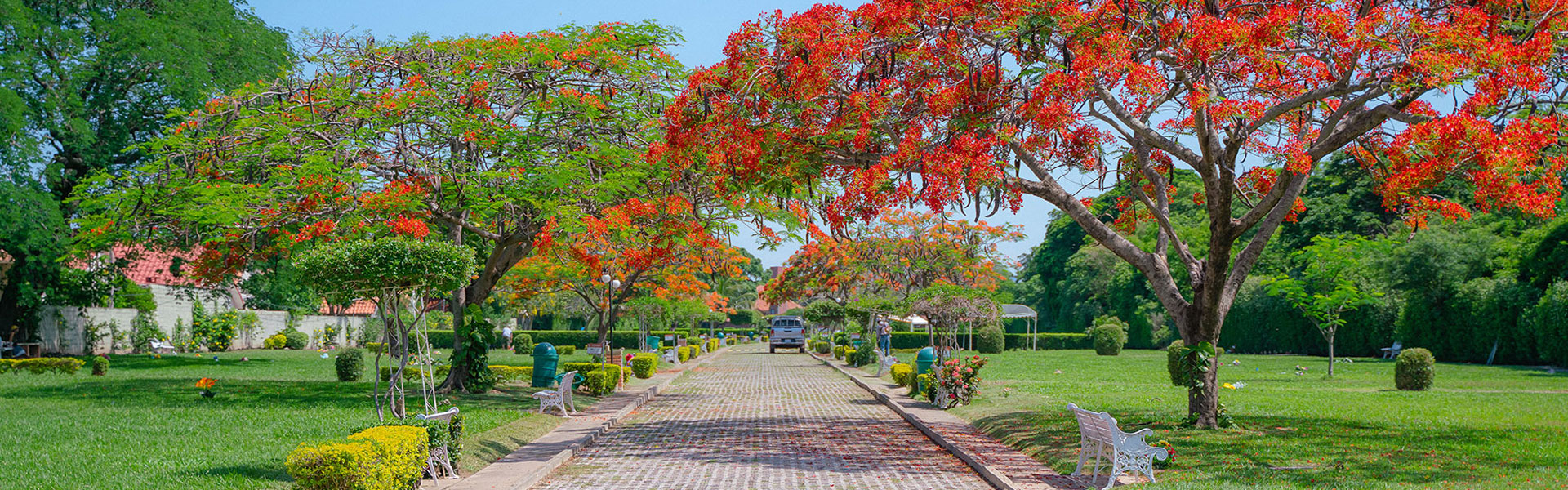 Jardines de Paz Parque