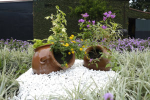 _AAA0850 - copia - copia