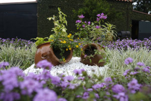 _AAA0853 - copia - copia