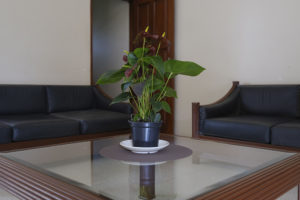 _AAA0894 - copia - copia